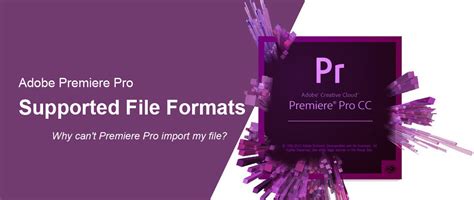 Premiere Pro supported file formats .